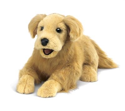 Marionnette - Golden retriever | Peluche et marionnette