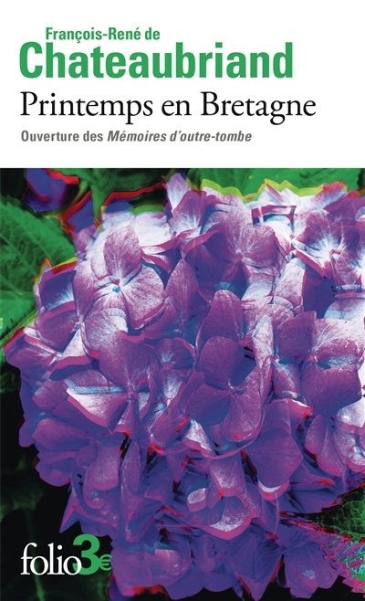 Mon coffret famille souris | IWAMURA