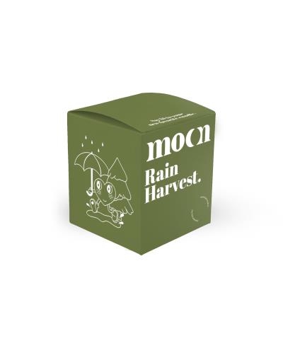 Moonday Chandelle - Rain Harvest | Chandelles