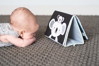 Livre d'activités position ventrale | Bébé (18 mois & moins)