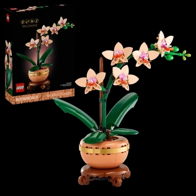 LEGO : Botanical collection - L’orchidée miniature | LEGO®