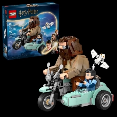 LEGO : Harry Potter - La balade en moto de Hagrid™ et Harry | LEGO®