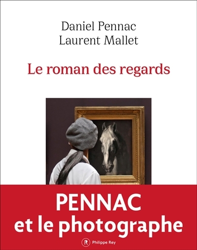 roman des regards (Le) | Pennac, Daniel