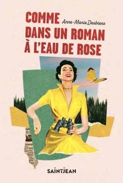 Comme dans un roman à l'eau de rose | Desbiens, Anne-Marie