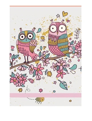 PETIT CALEPIN - DEUX HIBOUX | COLLECTIF