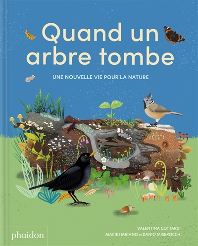 Quand un arbre tombe : une nouvelle vie pour la nature | Michno, Maciej (Auteur) | Miserocchi, Danio (Auteur) | Gottardi, Valentina (Illustrateur)