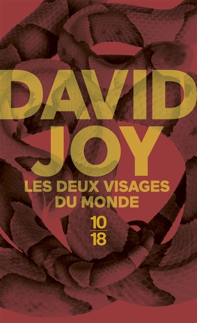 deux visages du monde (Les) | Joy, David (Auteur)
