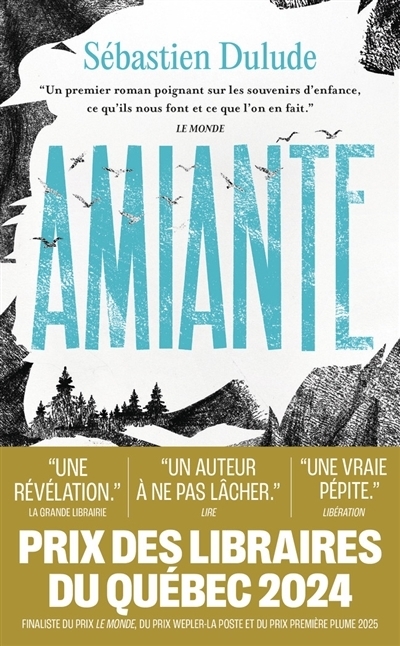 Amiante | Dulude, Sébastien (Auteur)