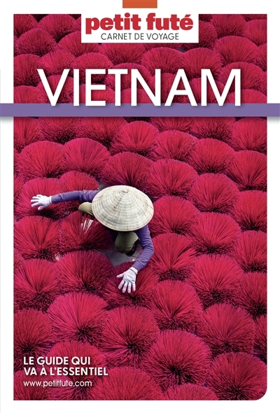 Viêt Nam | Auzias, Dominique (Auteur) | Labourdette, Jean-Paul (Auteur)