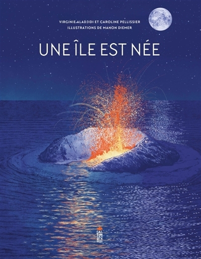 Une île est née | Aladjidi, Virginie (Auteur) | Pellissier, Caroline (Auteur) | Diemer, Manon (Illustrateur)