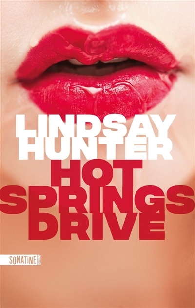 Hot springs drive | Hunter, Lindsay (Auteur)