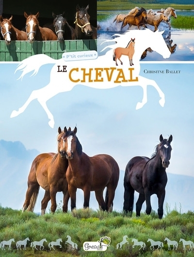 Le cheval | Baillet, Christine (Auteur)