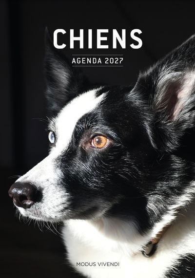 Chiens - Agenda 2027 : En compagnie de nos chiens | 