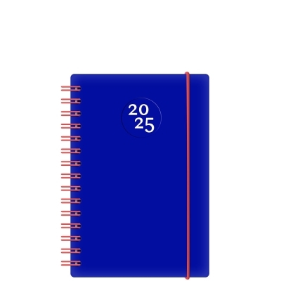 Agenda Euro Bleu Annuel 2025 | Agenda et Calendrier et journaux intime