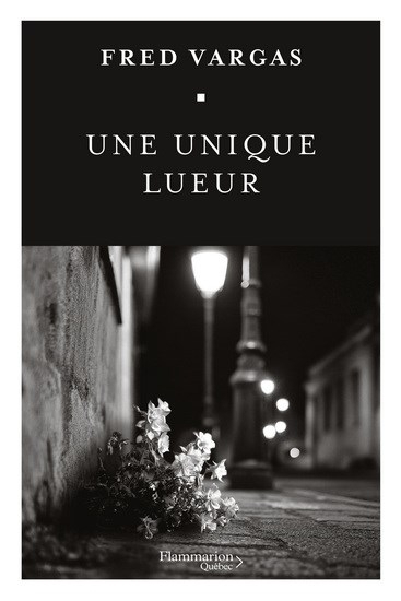 Une unique lueur | Vargas, Fred