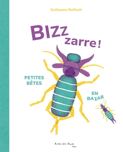 Bizzzarre ! : petites bêtes en bazar | Ruffault, Guillaume (Auteur)