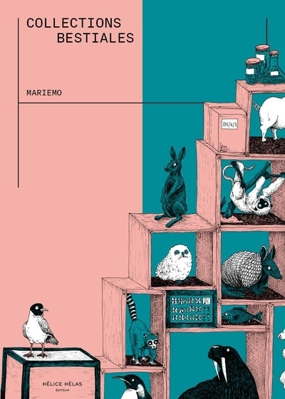 Collections bestiales | Adatte, Marie-Morgane (Auteur)