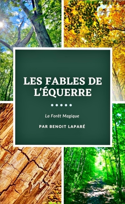 Les fables de l'Équerre | Laparé, Benoît