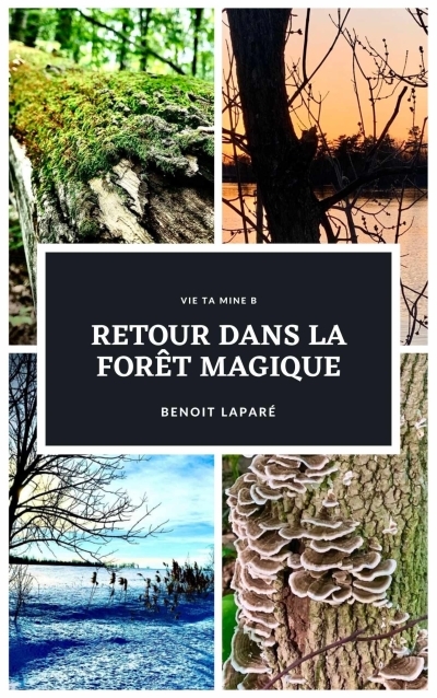 Retour dans la forêt magique  | Laparé, Benoît