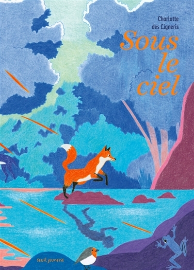 Sous le ciel | Des Ligneris, Charlotte (Auteur)