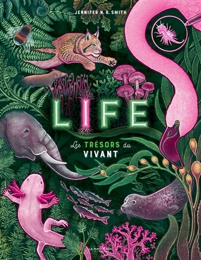 Life : les trésors du vivant | Smith, Jennifer N.R. (Auteur)